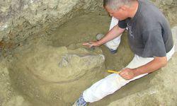 Descoperire Importanta La Vaslui Tigri Cu DinÈ›i Sabie È™i È›estoase Din Miocen Foto Buna Ziua Iasi Bzi Ro