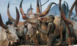 Viata In Imagini A Tribului Dinka Din Sudan Foto Buna Ziua Iasi Bzi Ro