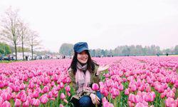 Parcul Olandez Unde Pot Fi Admirate 800 De Soiuri De Lalele Foto Bzi Ro