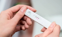 attack tiger Clamp Test de sarcină slab pozitiv poze. Factorii care influențează acest fenomen