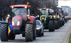 Protest în Satu Mare. Peste 70 de fermieri au ieșit cu tractoare în stradă
