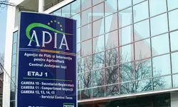 APIA demarează plățile finale pentru subvențiile aferente anului 2022. Fermierii din Iași au încasat 30 de milioane de euro