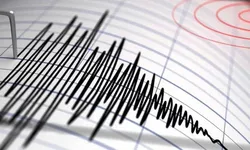 Un cutremur cu magnitudinea de 32 grade pe scara Richter s-a produs în zona seismică Vrancea