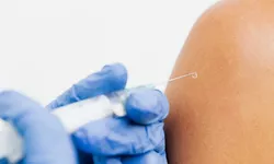 Decizie drastică în Noua Zeelandă Părinții care refuzau 8222sânge vaccinat8221 pentru copilul lor au pierdut custodia