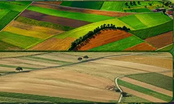 Terenurile agricole din Iași s-au vândut în luna ianuarie 2023 cu prețuri cuprinse între 2.000 și 11.000 de euro