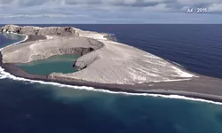 O insulă apărută spectaculos în Pacificul de Sud a dezvăluit forme de viață nemaiîntâlnite 8211 VIDEO