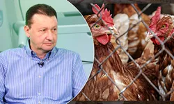 Cum își pot proteja ieșenii fermele cu păsări împotriva gripei aviare DSVSA Iași a emis o nouă atenționare privind măsurile de biosecuritate