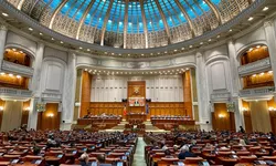 Scandal în Parlamentul României Csoma Botond Foaie verde ananasPapagal ai fost papagal ai rămas