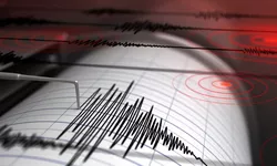 Cinci cutremure s-au produs în zona Gorj. Anunţul INFP