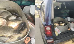 Polițiștii ieșeni atrag atenția asupra fenomenului de comerț ilicit cu pește și anunță măsuri drastice