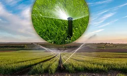Fermierii din Iași au semnat primele contracte de irigații pentru campania din 2023. ANIF va furniza apa gratuit