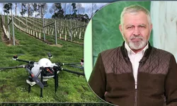 Legumicultorii de la Târgu Frumos vor să achiziționeze drone pentru irigații. Roșiile de la lipovenii din Iași vor ieși pe piață peste o săptămână puțin mai scumpe