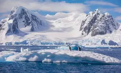 În Antarctica s-a petrecut cel mai intens val de căldură temperaturi mai mari cu 39 de grade față de normal. Care este explicația specialiștilor