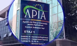 APIA pregătește avansul din subvenții pentru anul 2023. Suma minimă acordată fermierilor din Iași 637 eurohectar