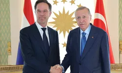 Premierul olandez Mark Rutte și-a plătit din propriul buzunar călătoria la Instabul unde a făcut lobby pentru șefia NATO