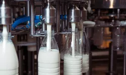 Diferențele dintre lapte UHT și lapte pasteurizat. Care este mai sănătos