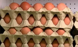 Semnal de alarmă tras de specialiști Ouăle brune vor dispărea de pe rafturile magazinelor