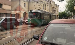 Bizoni în traficul ieşean. Un şofer a blocat un tramvai pe strada Cuza Vodă