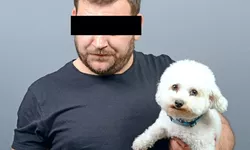 Scandal monstru în Podu Roș Un ieșean ieșit cu un Bichon la plimbare a fost snopit în bătaie și a rămas fără câine. Doi indivizi amețiți de alcool au plecat cu pufosul alb sub braț 8211 EXCLUSIVFOTO