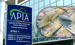 Bani pentru fermierii din Iași APIA efectuează plăți către beneficiarii din sectorul zootehnic