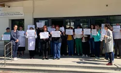 Angajații din Agenția pentru Protecția Mediului protestează la Iași. Ce nemulțumiri au 8211 FOTO