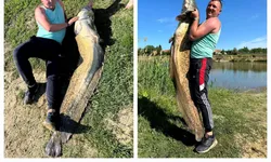 Un pescar a prins un monstru la Sântana. Peștele uriaș avea peste 2 metri și 50 de kilograme 8211 FOTO