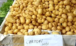 Cartofii noi vânduți la un preț uriaș Cât a ajuns să coste leguma săracului