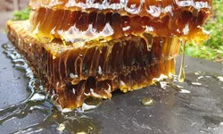 Consumă fagure de miere pentru o sănătate de fier Ce proprietăţi superioare are acest produs apicol