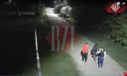 Hoții anului vin de la Iași Au furat camerele de supraveghere care trebuiau să apere o comună de hoți 8211 FOTO VIDEO