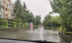 Ploaia a făcut ravagii la Iași Pompierii au lucrat la foc continuu inundații și copaci căzuți pe carosabil