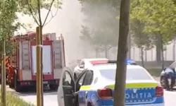 Incendiu de vegetație în București Mai multe echipaje de pompieri au intervenit