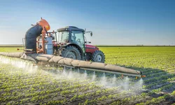 Un produs care conține un pesticid interzis a pătruns în România