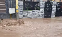 Zece gospodării sunt inundate în Gâștești municipiul Pașcani 8211 FOTOVIDEO UPDATE