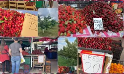 Cireșele de Comarna apar în piețele din Iași săptămâna viitoare. Cât costă un kilogram în 2024 8211 FOTO