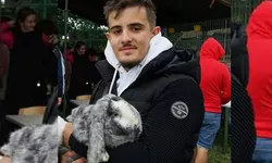 Un student de la USV Iași colecționează iepuri de rasă. Are peste 40 de exemplare răspândite în toată lumea 8211 GALERIE FOTO