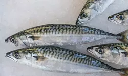 Au venit rezultatele preliminare în cazul fetiței de 4 ani din Călărași care a decedat după consumul de pește