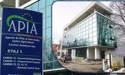 Ce bani primesc fermierii din Iași săptămâna aceasta APIA virează două milioane de euro în conturile beneficiarilor