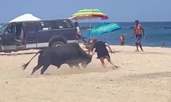 Un taur a atacat o femeie aflată pe plajă. Cum a reușit aceasta să scape de animalul furios- VIDEO