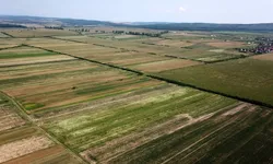 Suprafețe mici de terenuri agricole vândute cu peste 50.000 de euro pe hectar la Iași. Cine cumpără