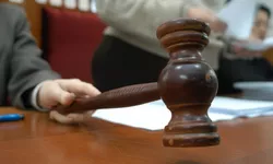 Judecătorii Curţii de Apel Ploieşti motivare pentru eliberarea fiilor vrăjitoarei8217 Sidonia din arest