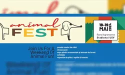 USV Iași organizează ANIMAL FEST la sfârșitul acestei săptămâni în premieră va avea loc un curs de prim ajutor Pet first aid
