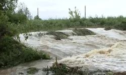 Alertă hidrologică la Iași Cod galben de inundații pe afluxul râului Moldova