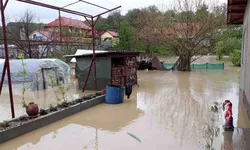 Ploile și vântul au inundat curți și au rupt copaci la Iași. Pompierii au intervenit 8211 UPDATE