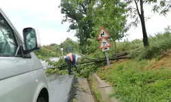 DRDP Iași intervine pentru îndepărtarea copacilor doborâți de vântul puternic pe DN 28 limită cu jud. Neamț 8211 Strunga