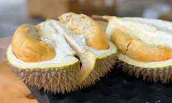 Fructul durian 8222Regele fructelor8221 cu un miros controversat dar bogat în beneficii