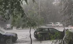 Prăpăd în București în urma fenomenelor meteo zeci de mașini distruse din cauza copacilor căzuți