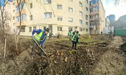 O firmă din Iași vrea contractul de reabilitare a spațiilor verzi din Târgu Frumos. Proiectul are o valoare de peste 16 milioane de lei 8211 FOTO