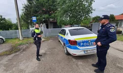 Incident în comuna Țibana s-a deschis dosar penal pentru rănirea unui cal