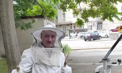 Un echipaj pentru salvări de la înălțime intervine pe strada Anastasie Panu pentru îndepărtarea unui roi de albine de pe o clădire