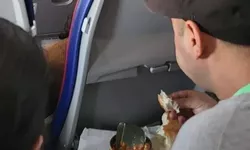 Doi români filmați mâncând cârnați brânză și roșii în avion. Imaginile fac deliciul internauților